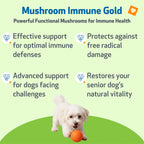Mushroom Supplement