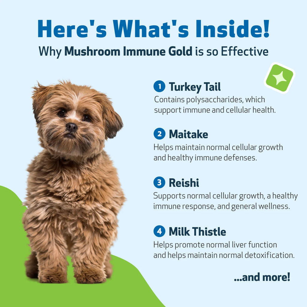 Mushroom Supplement