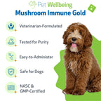 Mushroom Supplement