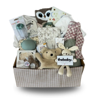 Mystery Baby Gift Box