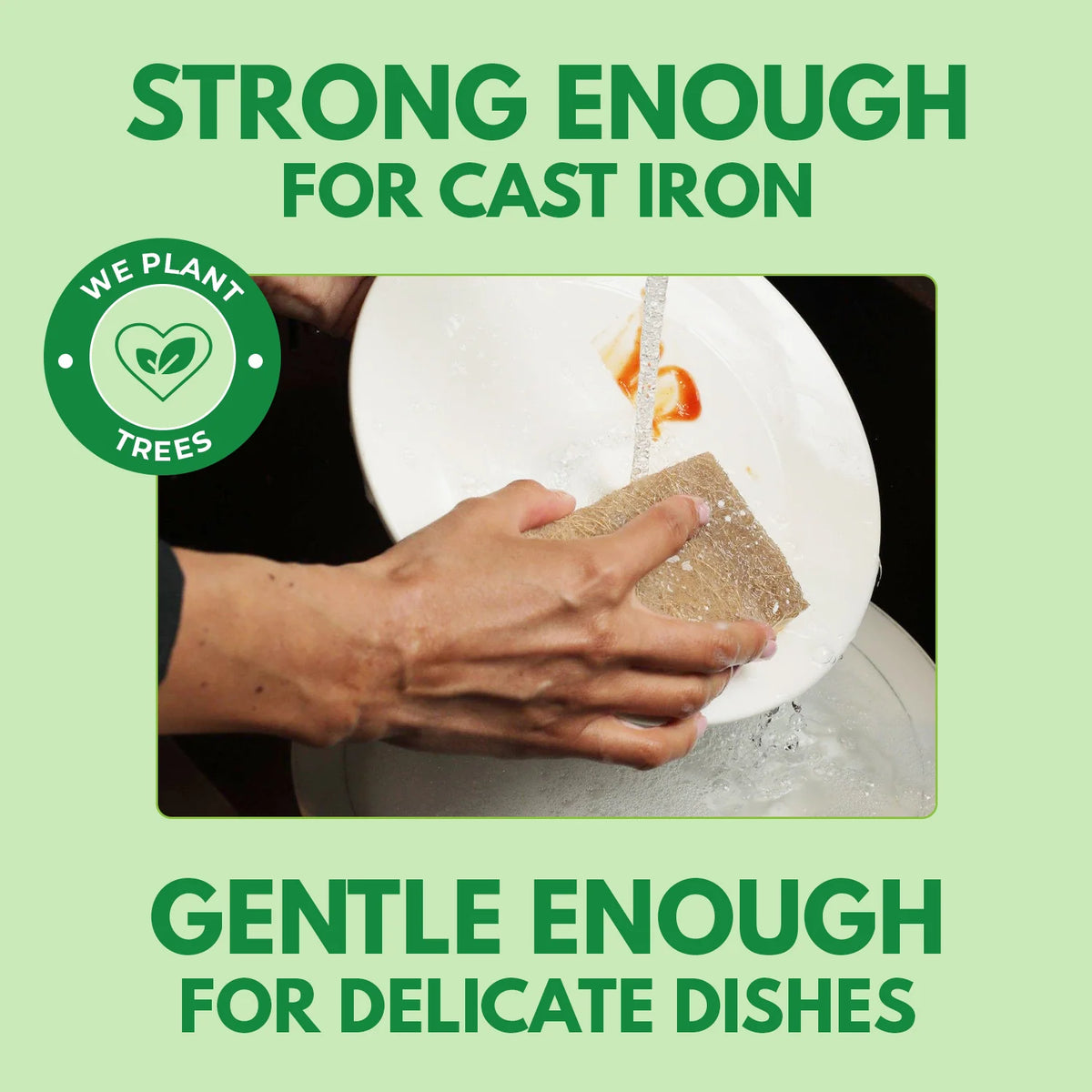 Natural Kitchen Sponges for Dishes, Non-Scratch Cellulose Scrub Pads in White Rectangular Packs
