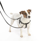 Navy Blue No-Pull Dog Harness with a Velvet-Lined Chest Strap and Front and Back Leash Connections