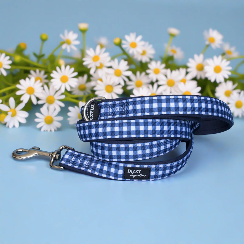 Navy Gingham Dog Leash with Neoprene Padding, 152 cm Length and Three Width for Daily Walks