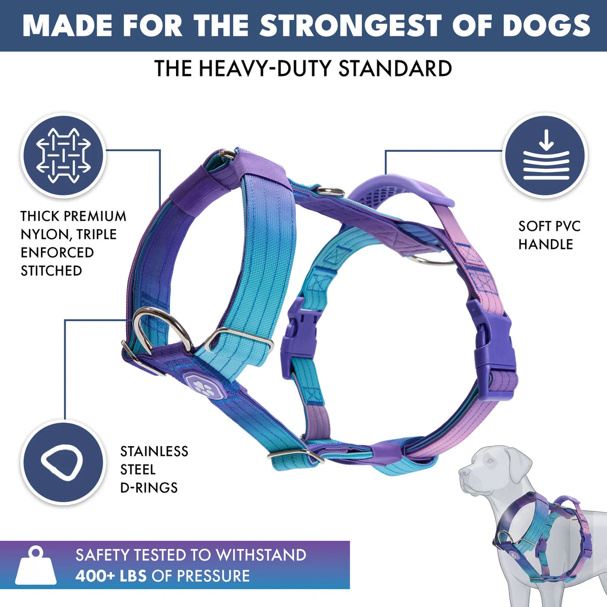 No-Pull Dog Harness and Leash Set with Adjustable Chest Fit, Multi-Use D-Rings and Waste Bag Carrier
