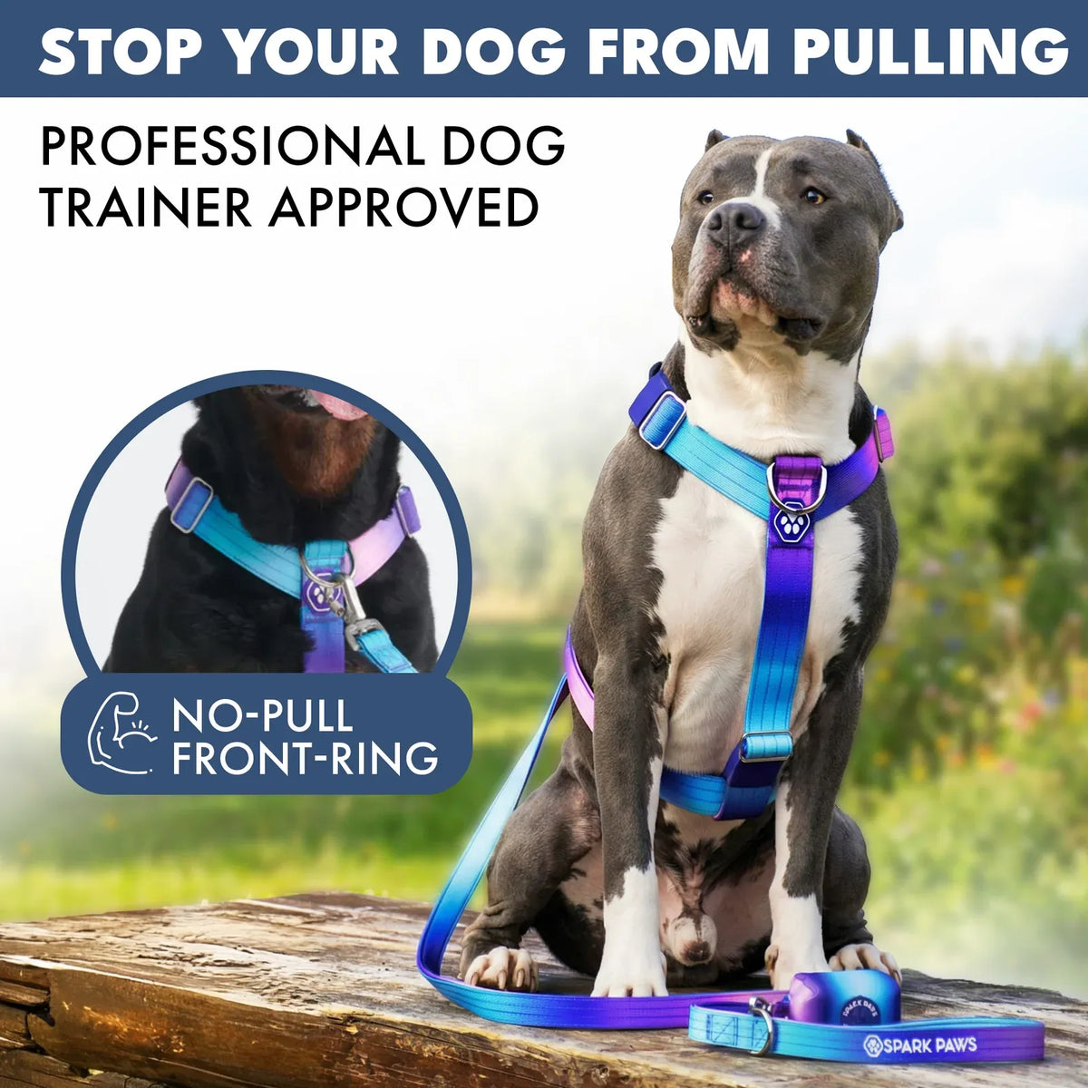 No-Pull Dog Harness and Leash Set with Adjustable Chest Fit, Multi-Use D-Rings and Waste Bag Carrier