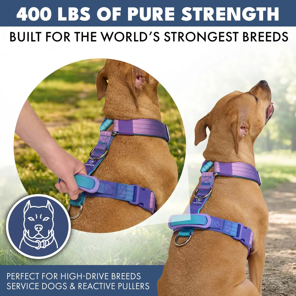No-Pull Dog Harness and Leash Set with Adjustable Chest Fit, Multi-Use D-Rings and Waste Bag Carrier