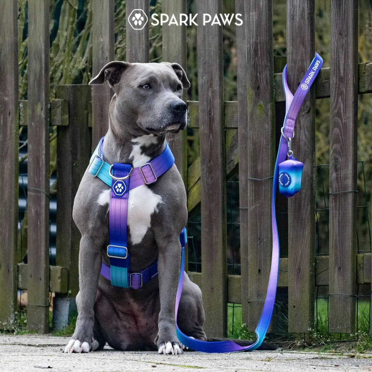 No-Pull Dog Harness and Leash Set with Adjustable Chest Fit, Multi-Use D-Rings and Waste Bag Carrier