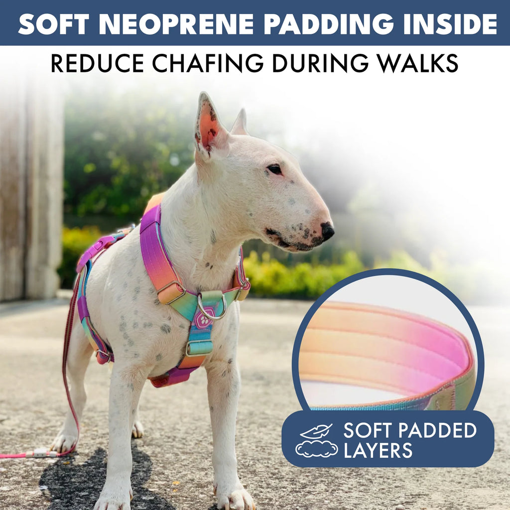 No-Pull Dog Harness and Leash Set with Adjustable Chest Fit, Multi-Use D-Rings and Waste Bag Carrier