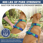 No-Pull Dog Harness and Leash Set with Adjustable Chest Fit, Multi-Use D-Rings and Waste Bag Carrier