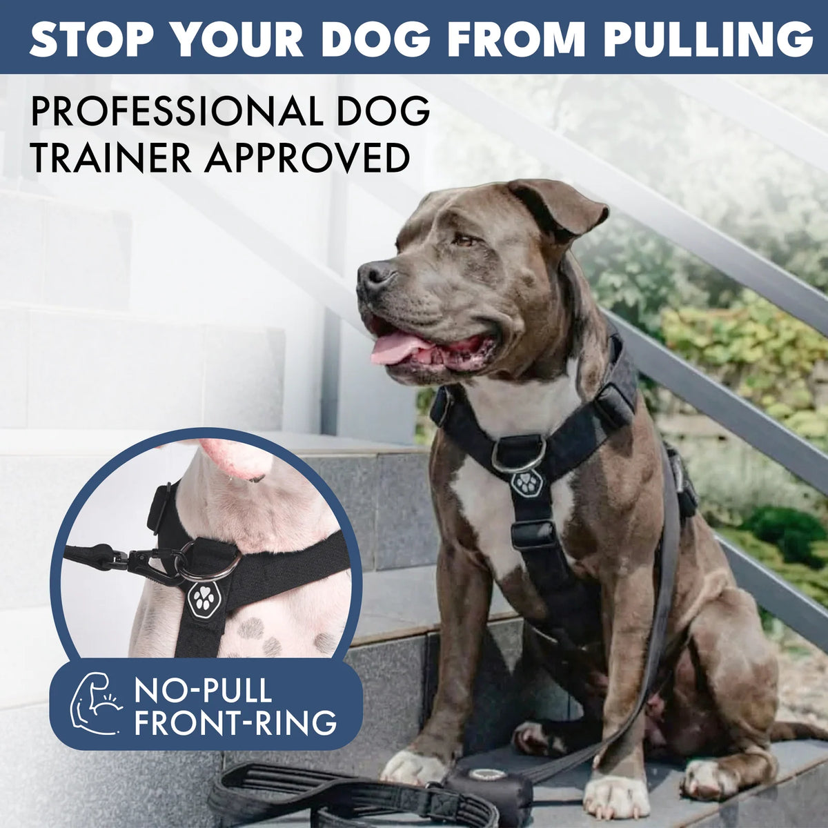 No-Pull Dog Harness and Leash Set with Adjustable Chest Fit, Multi-Use D-Rings and Waste Bag Carrier