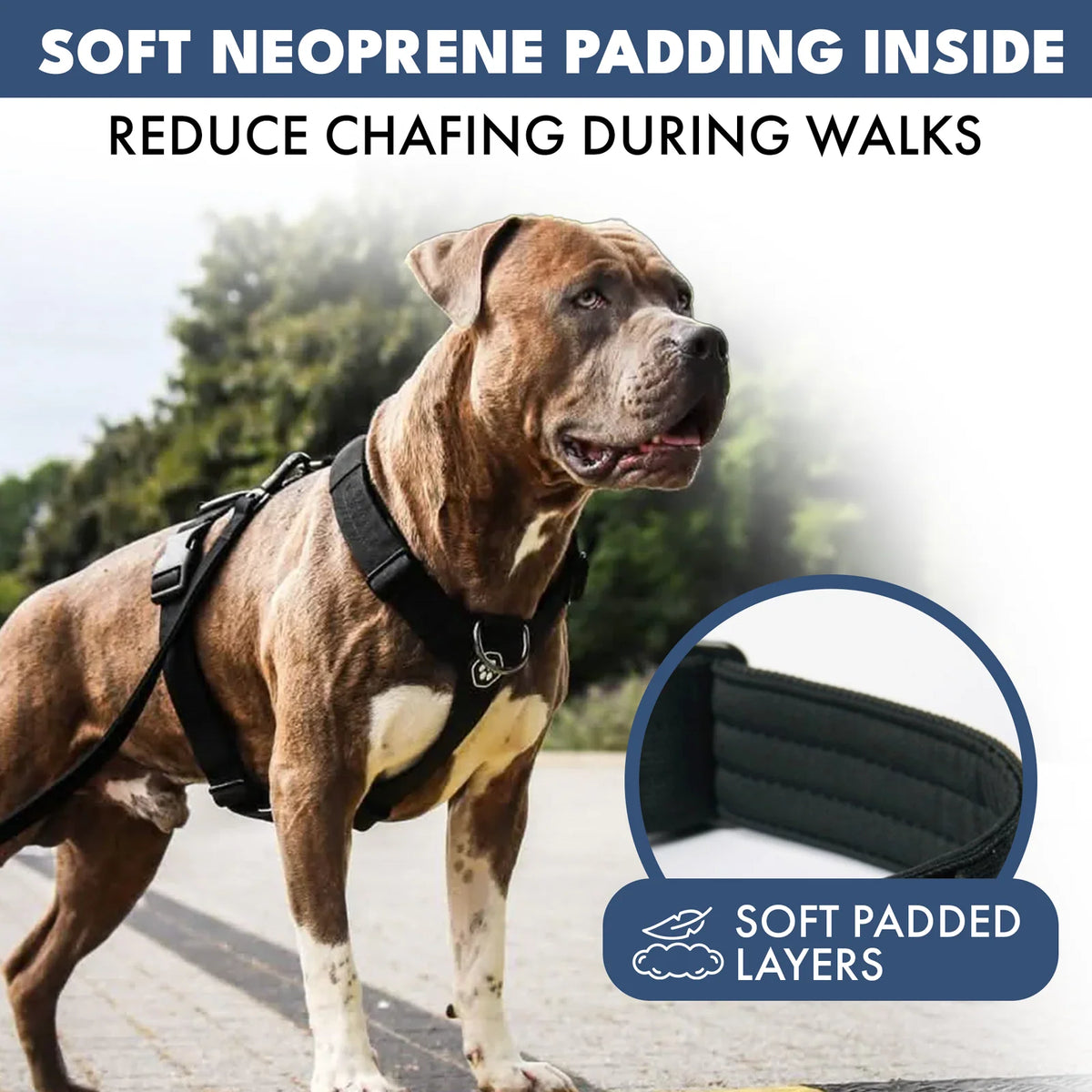 No-Pull Dog Harness and Leash Set with Adjustable Chest Fit, Multi-Use D-Rings and Waste Bag Carrier