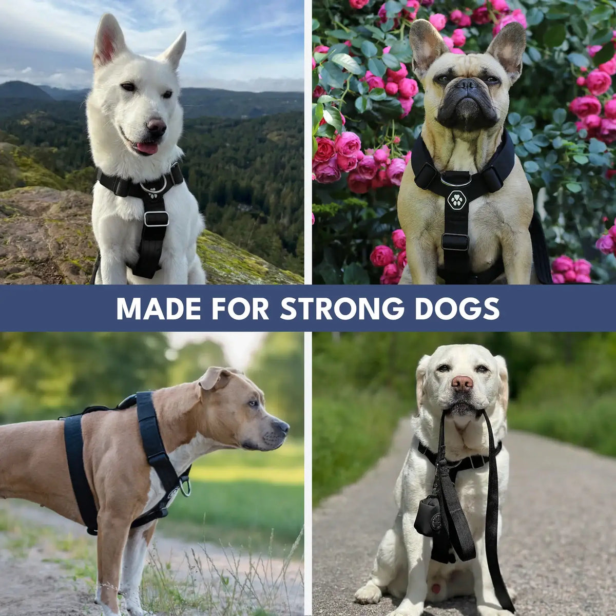 No-Pull Dog Harness and Leash Set with Adjustable Chest Fit, Multi-Use D-Rings and Waste Bag Carrier