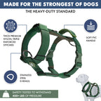 No-Pull Dog Harness and Leash Set with Adjustable Chest Fit, Multi-Use D-Rings and Waste Bag Carrier