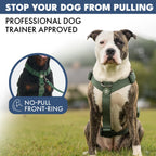 No-Pull Dog Harness and Leash Set with Adjustable Chest Fit, Multi-Use D-Rings and Waste Bag Carrier