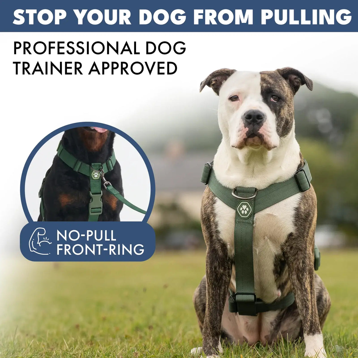 No-Pull Dog Harness and Leash Set with Adjustable Chest Fit, Multi-Use D-Rings and Waste Bag Carrier