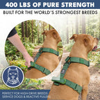 No-Pull Dog Harness and Leash Set with Adjustable Chest Fit, Multi-Use D-Rings and Waste Bag Carrier