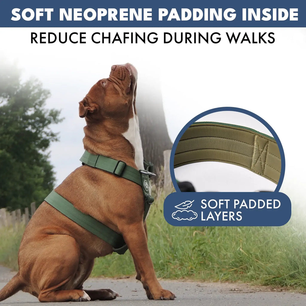 No-Pull Dog Harness and Leash Set with Adjustable Chest Fit, Multi-Use D-Rings and Waste Bag Carrier
