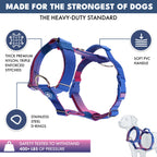No-Pull Dog Harness and Leash Set with Adjustable Chest Fit, Multi-Use D-Rings and Waste Bag Carrier