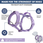 No-Pull Dog Harness and Leash Set with Adjustable Chest Fit, Multi-Use D-Rings and Waste Bag Carrier