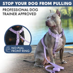 No-Pull Dog Harness and Leash Set with Adjustable Chest Fit, Multi-Use D-Rings and Waste Bag Carrier