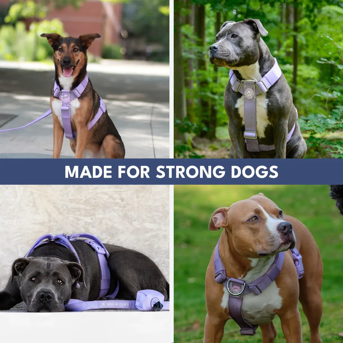 No-Pull Dog Harness and Leash Set with Adjustable Chest Fit, Multi-Use D-Rings and Waste Bag Carrier