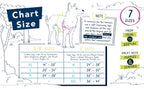 No-Pull Dog Harness in Blue Graffiti Design with Recycled Webbing and a Velvet-Lined Chest Strap