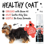 No Rinse Flea & Tick Shampoo
