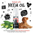 No Rinse Flea & Tick Shampoo