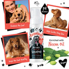 No Rinse Flea & Tick Shampoo