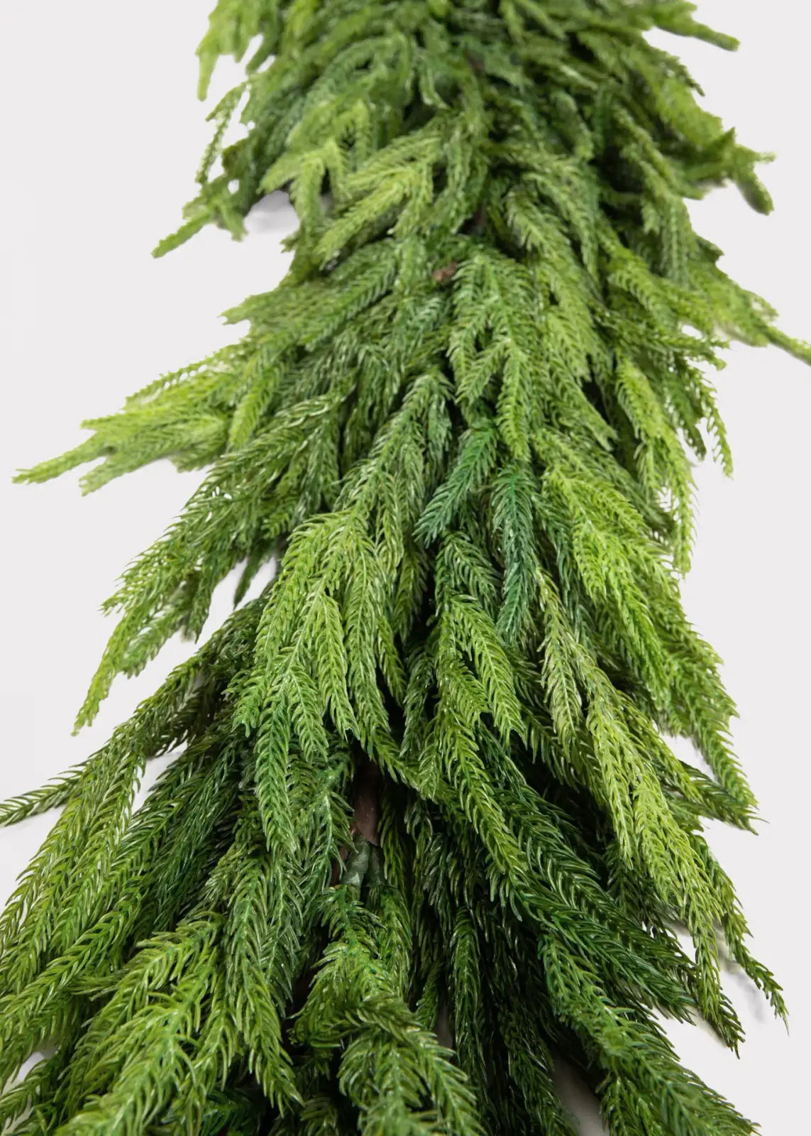 Norfolk Pine Garland in an 8-Foot Deluxe Design for Full, Shapable Greenery on Mantels and Banisters