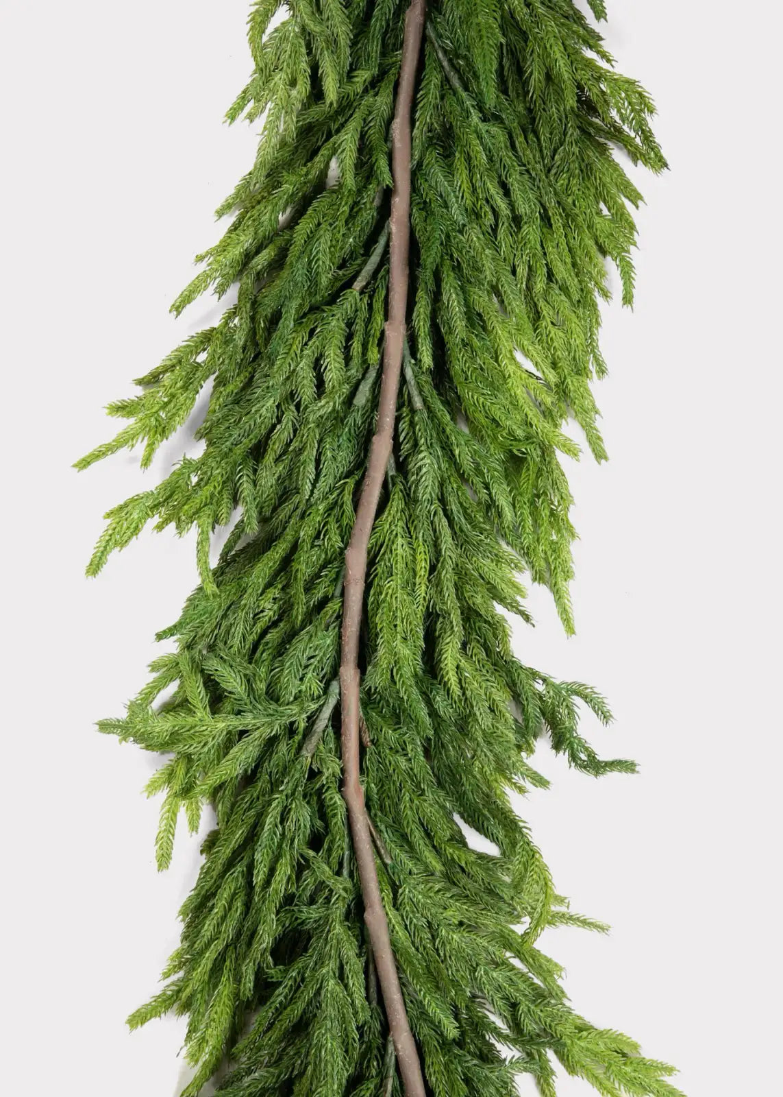 Norfolk Pine Garland in an 8-Foot Deluxe Design for Full, Shapable Greenery on Mantels and Banisters