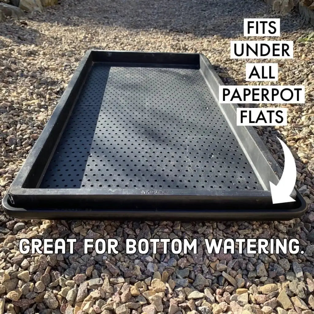 Nursery Solid Bottom Trays, UV-Treated BPA-Free Recycled Polypropylene 10-Pack for Microgreens and Wheatgrass