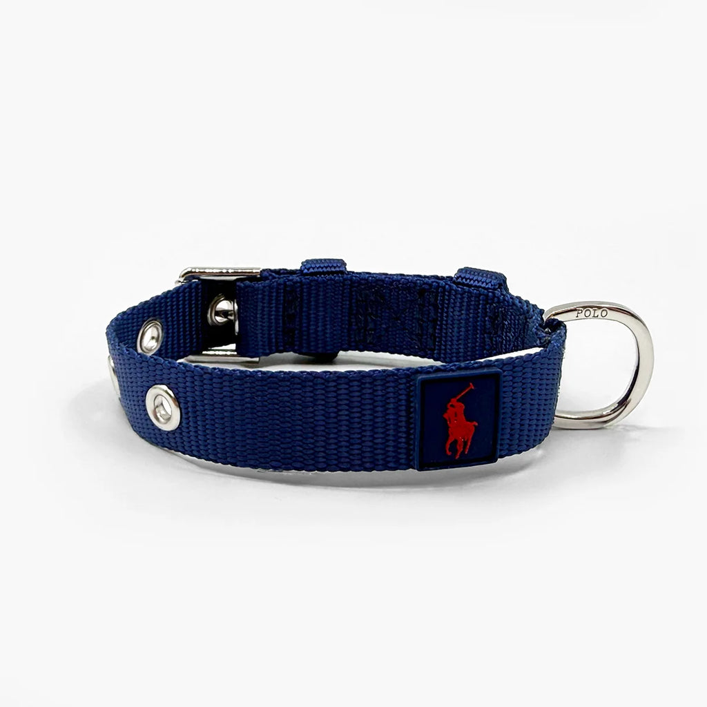 Nylon Dog Collar