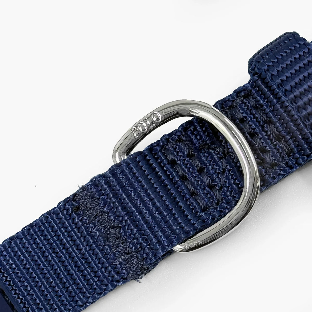 Nylon Dog Collar