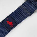 Nylon Dog Collar