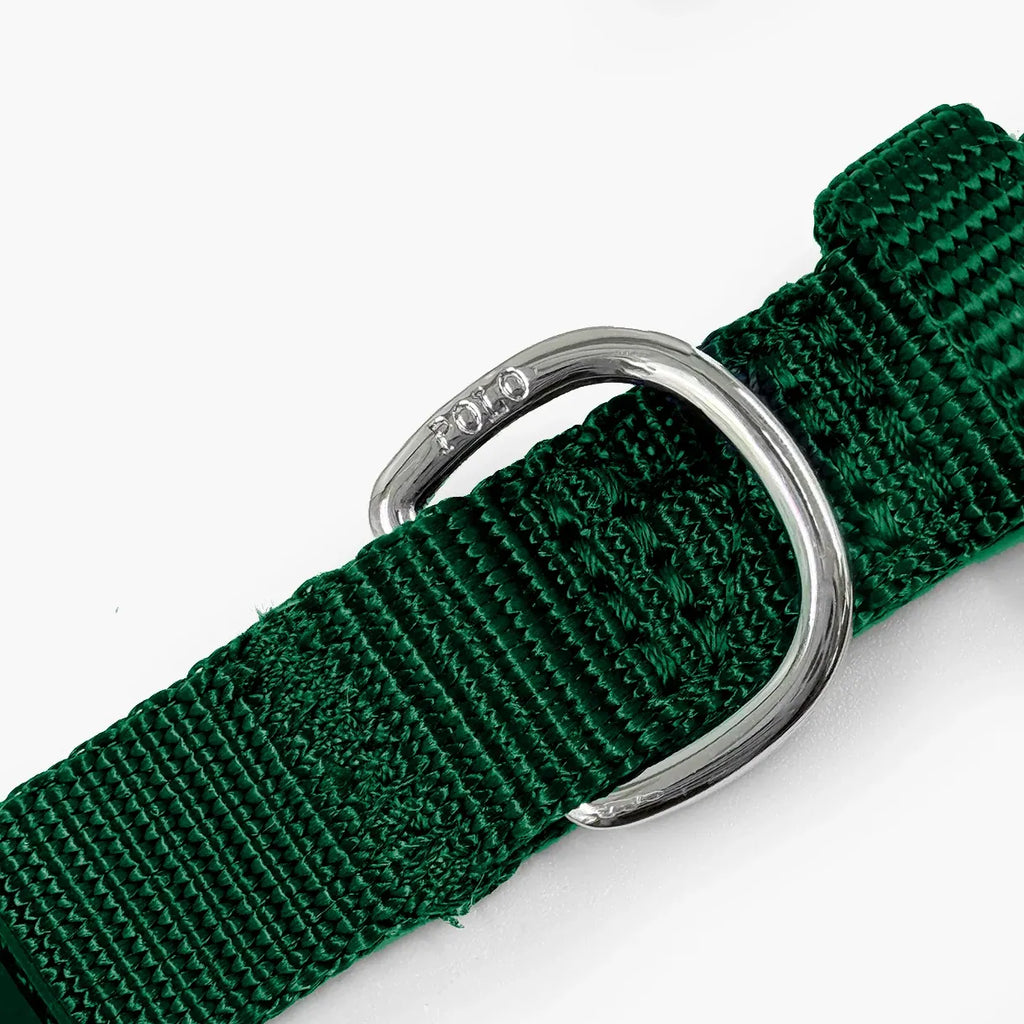 Nylon Dog Collar
