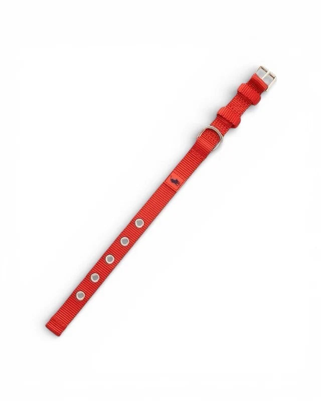 Nylon Dog Collar