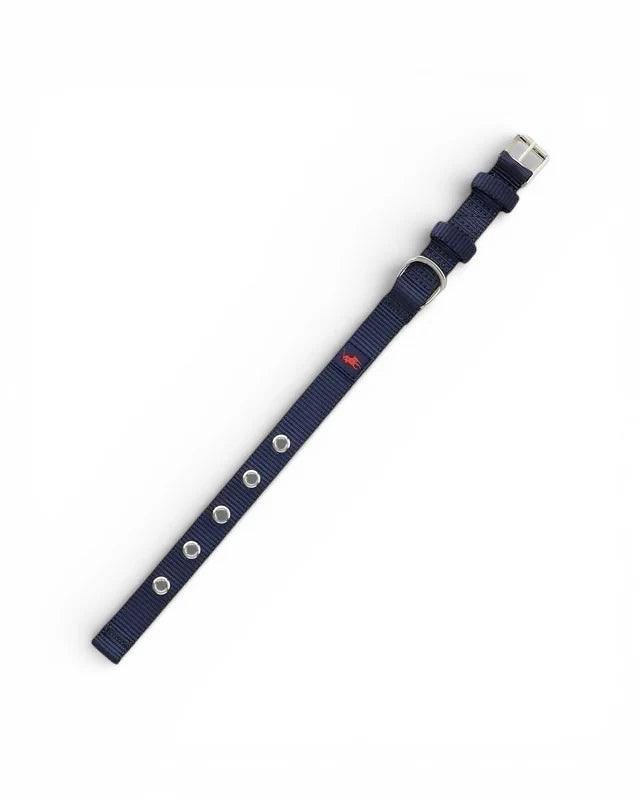 Nylon Dog Collar