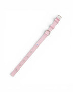 Nylon Dog Collar