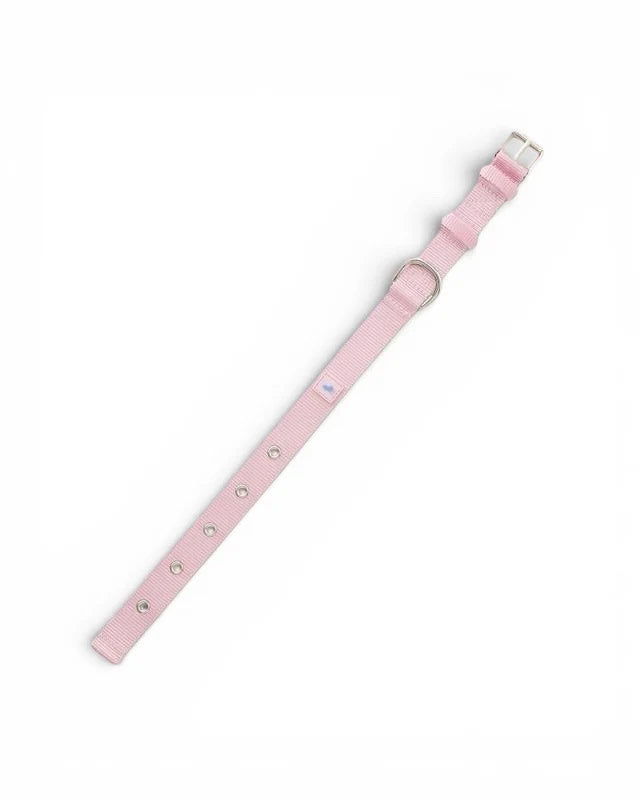 Nylon Dog Collar