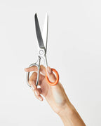 Office Scissors