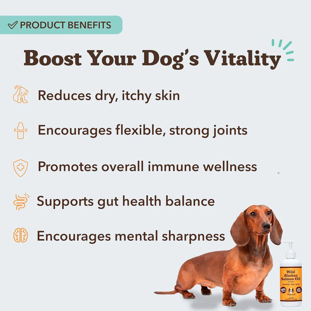 Omega 3 Fish Oil
