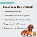 Omega 3 Fish Oil