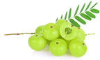 Organic Amla Fruit Powder