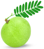 Organic Amla Fruit Powder