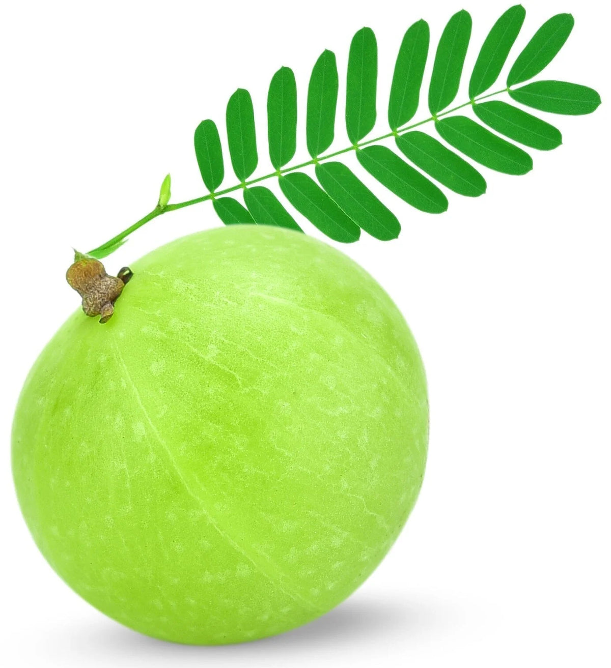 Organic Amla Fruit Powder