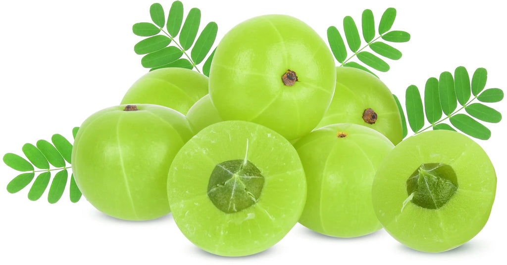 Organic Amla Fruit Powder