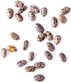 Organic Black Chia Seeds