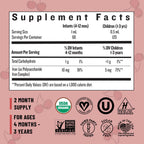 Organic Cherry-Flavored Liquid Iron Drops for Babies, Toddlers, and Kids with Tummy-Friendly Daily Support