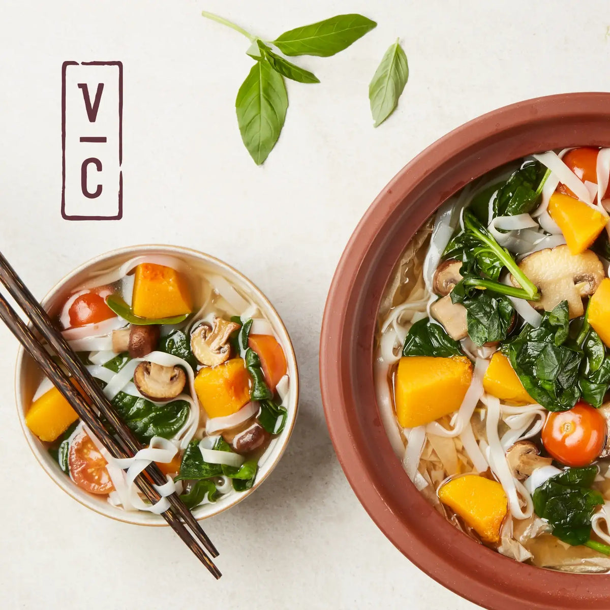 Organic Clay Rice Cooker and Slow Cooker